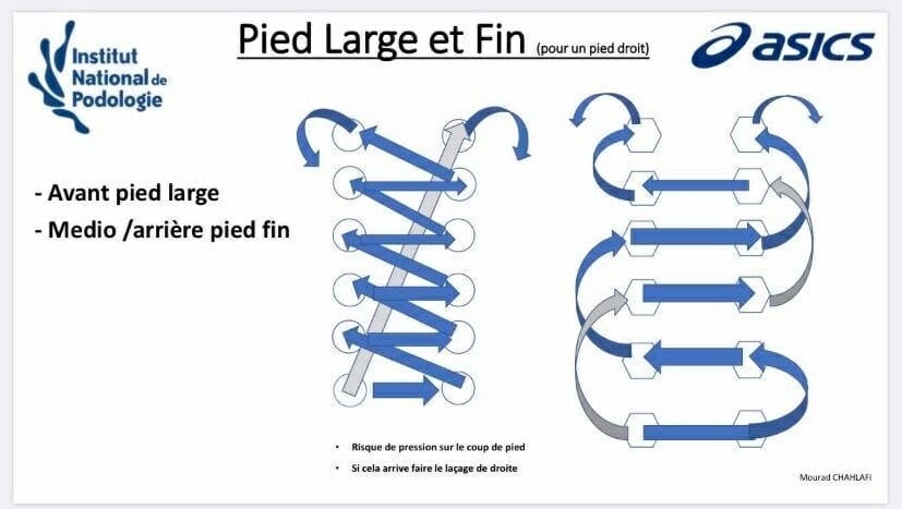 Pied_Large_Fin_fiche_explicative
